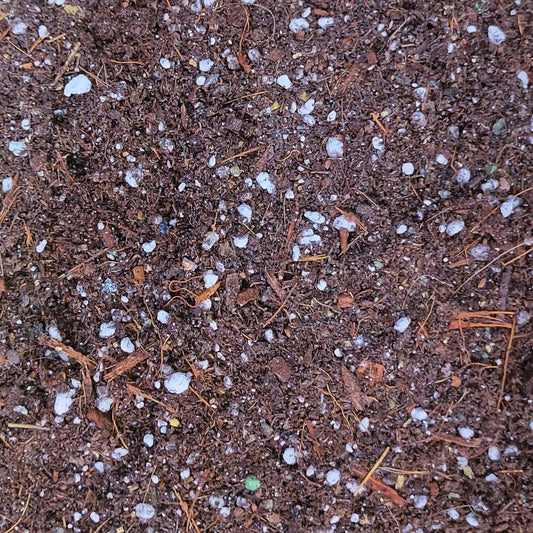 Ready Potting Medium - 12 Litres