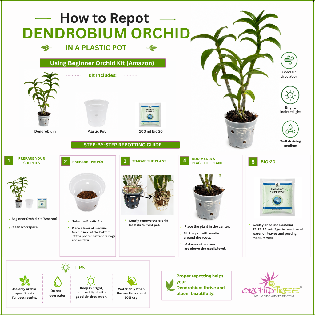 Beginner Orchid Kit With Plastic Pot - BS