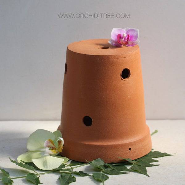 Terracotta Orchid Pot 6 Inch - Buy Orchids Plants Online by Orchid-Tree.com