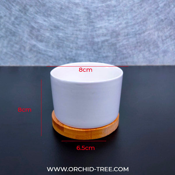 Ceramic Pot CC-229