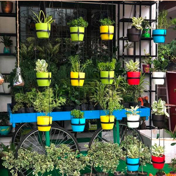 Uri 4 Tier Hanger Set with Planters - Buy Orchids Plants Online by Orchid-Tree.com