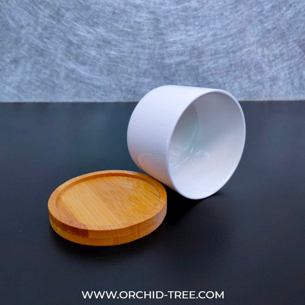 Ceramic Pot CC-229