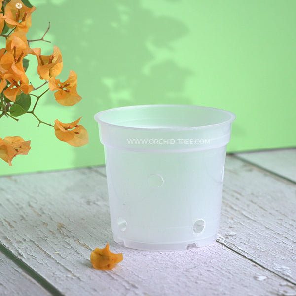 transparent pots for plants Plastic pot 4.7" clear