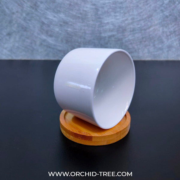 Ceramic Pot CC-229