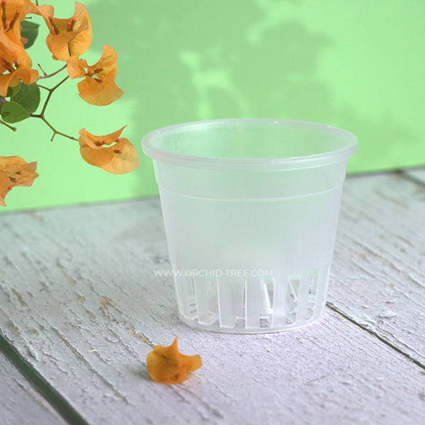 Plastic 4" Clear Round Orchid Pot with Dome