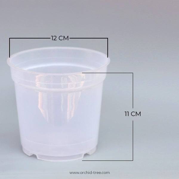 Plastic pot 4.7" clear - with side holes - Buy Orchids Plants Online by Orchid-Tree.com