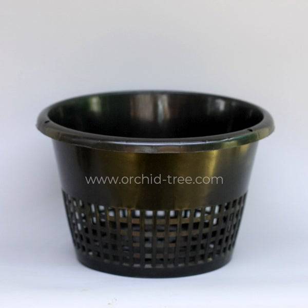 Plastic 8" Black Big Orchid Pot - Buy Orchids Plants Online by Orchid-Tree.com