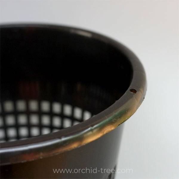 Plastic 8" Black Big Orchid Pot - Buy Orchids Plants Online by Orchid-Tree.com