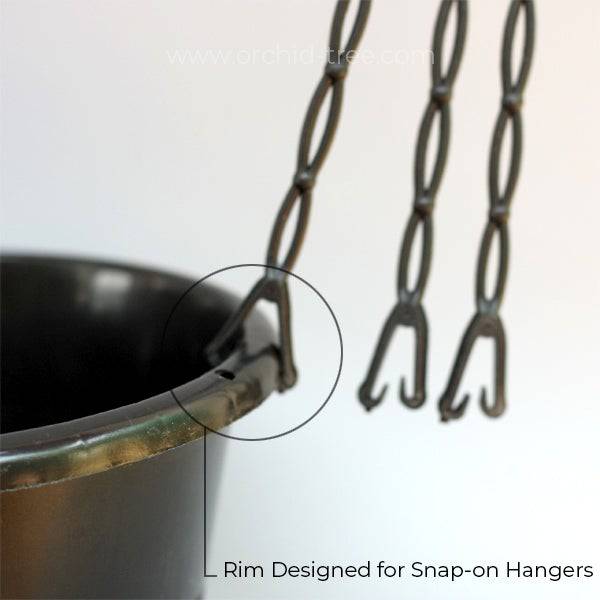 Plastic 8" Black Big Orchid Pot - Buy Orchids Plants Online by Orchid-Tree.com