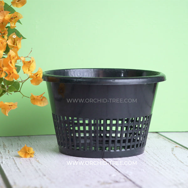 Plastic 8" Black Big Orchid Pot - Buy Orchids Plants Online by Orchid-Tree.com