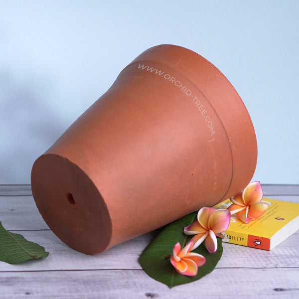 Terracotta Pot 8 Inch Rim Pot