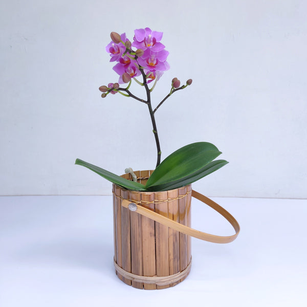 Bamboo Basket Planter