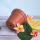 Terracotta Pot 4.5 Inch