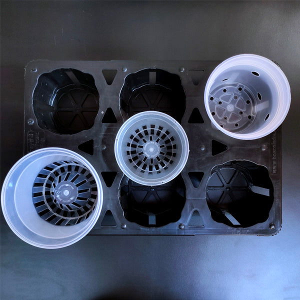 Tray for Pots | 6 Holes