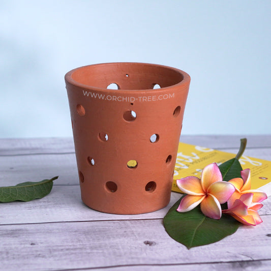 Terracotta Vanda Pot 6 Inch