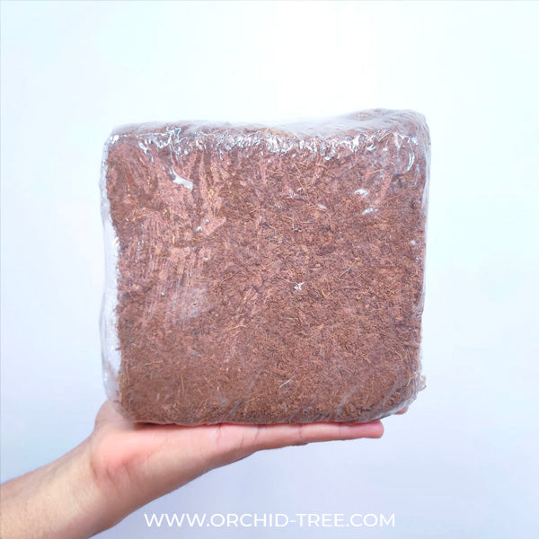 Cocopeat 800gm Block