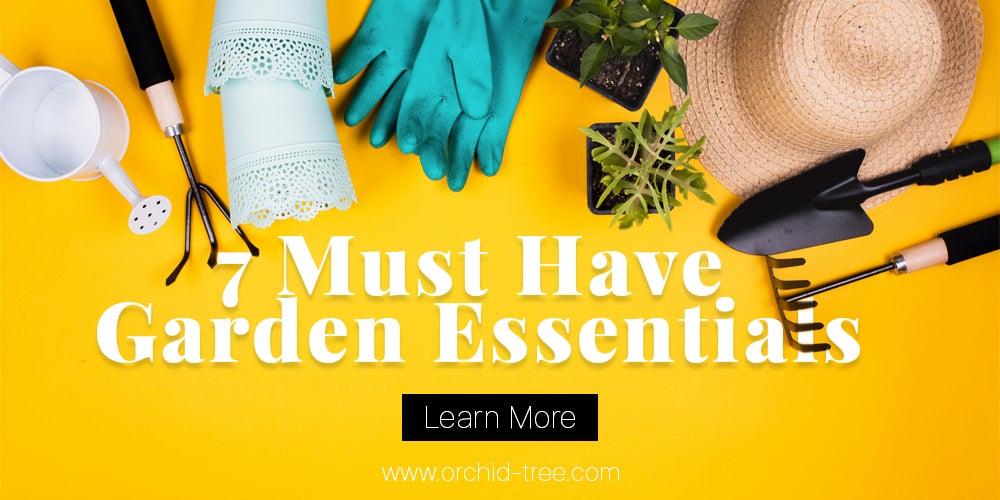 7 must have Orchid Essentials