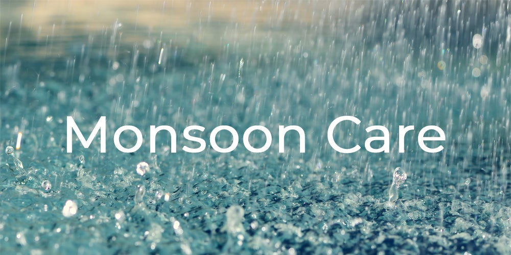 Monsoon Care: What changes should I make to my orchid routine during monsoon season?