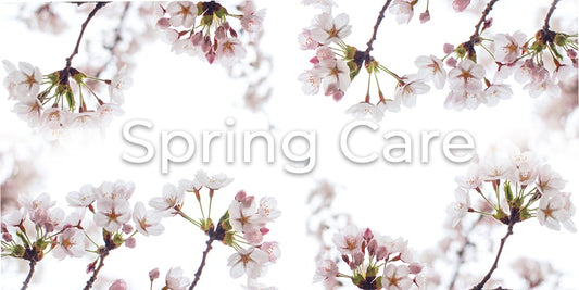 Spring Care: What changes should I make to my orchid routine during spring season?