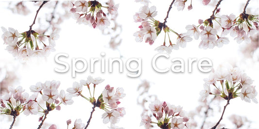 Spring Care: What changes should I make to my orchid routine during spring season?