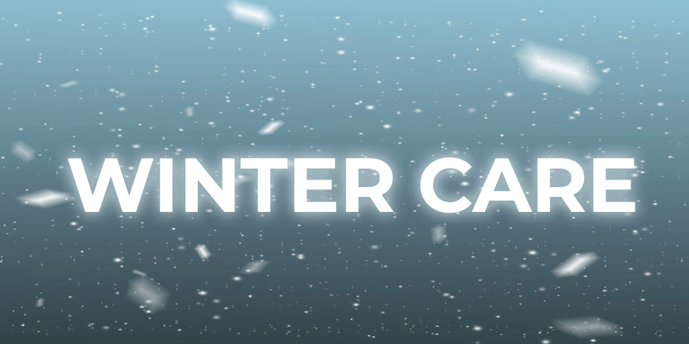 Winter Care: Prepare your Orchids for Winter