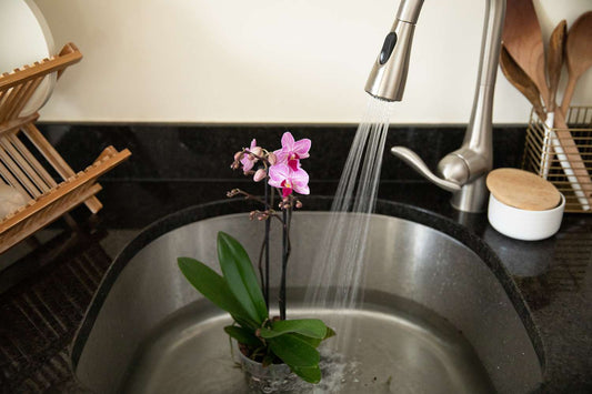 I dunk my plants with fertilizer, collect the runout from the pots and use it to fertilize my other orchids in a similar fashion. I save a lot of fertilizer this way. Is it alright to do that?