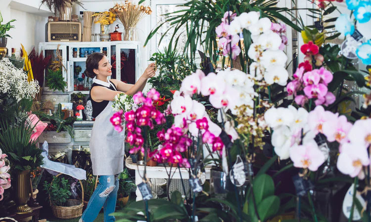 From Seeds to Splendor: Choosing the Right Orchid Nursery for You