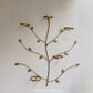 Golden Orchid Wall Display