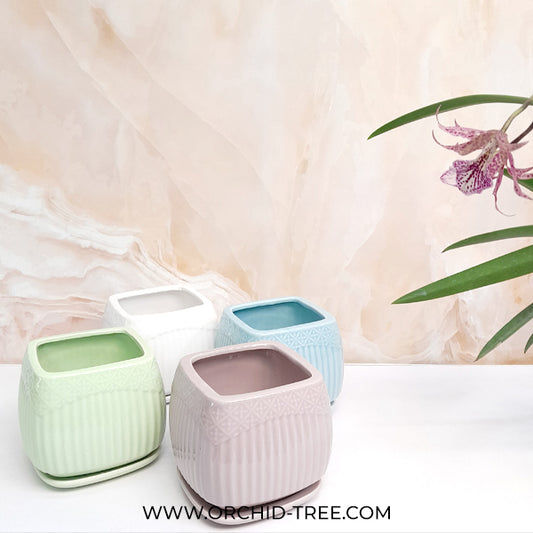 Otsu Ceramic Pot