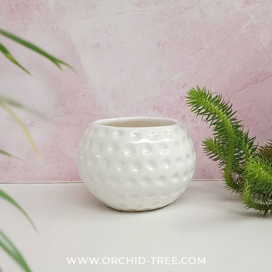White Apple Ceramic Pot