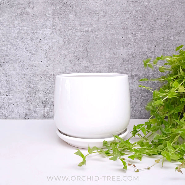 White Apple Ceramic Pot