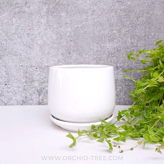 White Apple Ceramic Pot