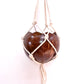 Hanging Coconut shell