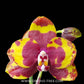 Phalaenopsis Vestar Dinosaur Orchid Plant - SS - Buy Orchids Plants Online by Orchid-Tree.com