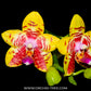 Phalaenopsis Orchid World - BS