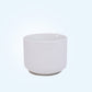Seoul Ceramic Planter - Buy Orchids Plants Online by Orchid-Tree.com