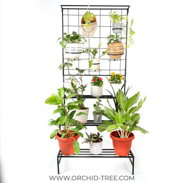 Plant Growing Bench with Vertical Grill - Metal Benches