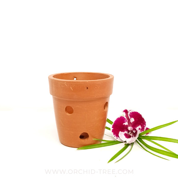 Terracotta Pot 4.5 Inch with Side Holes - Buy Orchids Plants Online by Orchid-Tree.com
