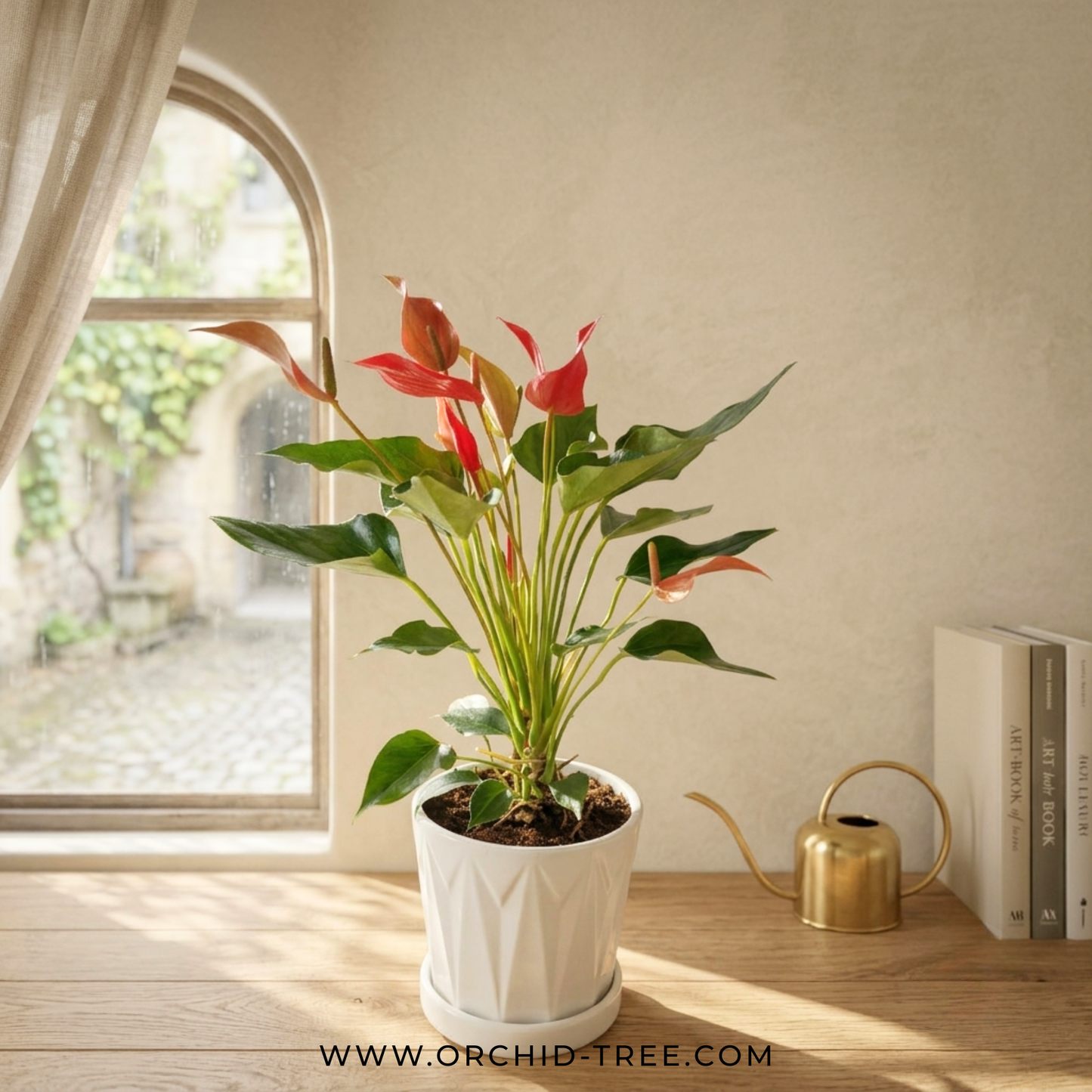 Ruby Elegance | Anthurium