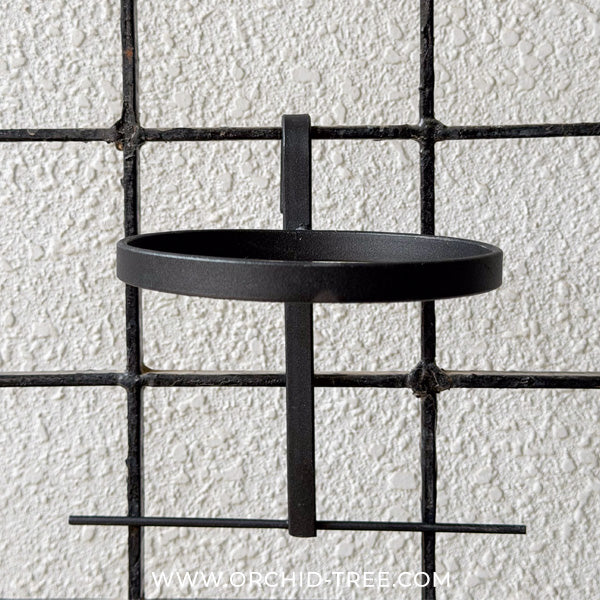 Terra Wall Set - Buy Orchids Plants Online by Orchid-Tree.com