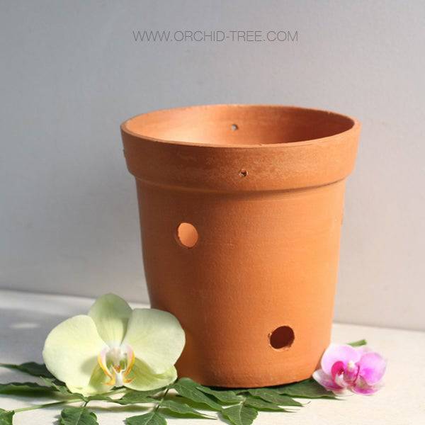 Terracotta Orchid Pot 6 Inch - Buy Orchids Plants Online by Orchid-Tree.com