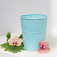 Lace Planter Blue - Buy Orchids Plants Online by Orchid-Tree.com