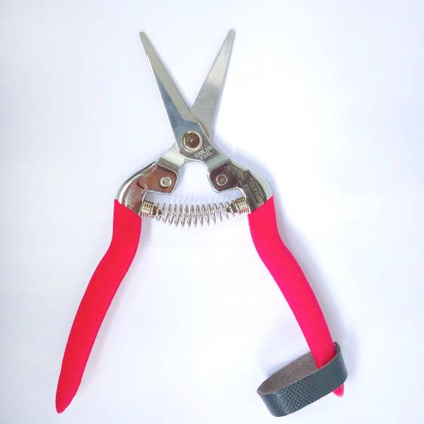 Pruning Secateur | Shears - Buy Orchids Plants Online by Orchid-Tree.com
