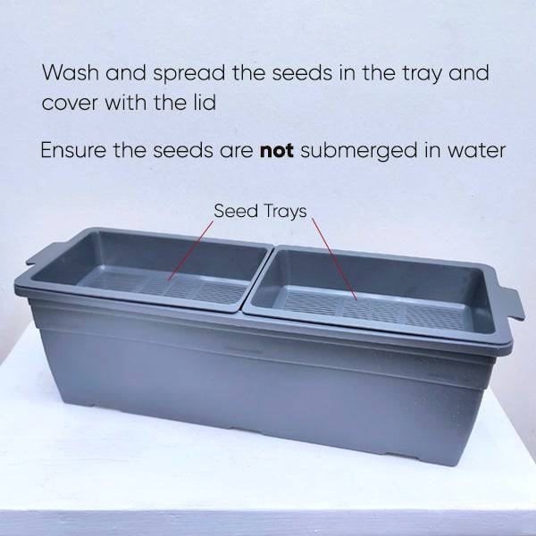 Sprouta Set | Micro Green Growing Trays - Buy Orchids Plants Online by Orchid-Tree.com