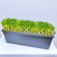 Sprouta Set | Micro Green Growing Trays - Buy Orchids Plants Online by Orchid-Tree.com