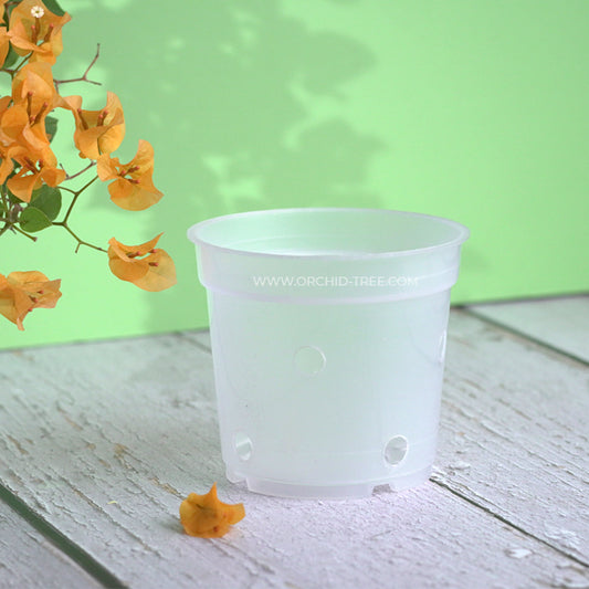 Plastic pot 4.7" clear - with side holes - Buy Orchids Plants Online by Orchid-Tree.com