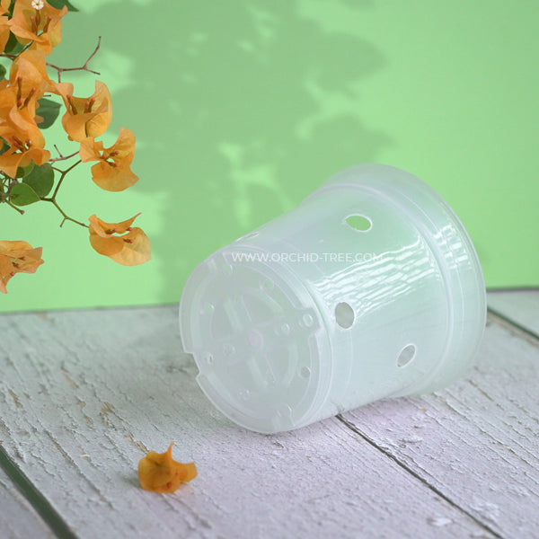 Plastic pot 4.7" clear - with side holes - Buy Orchids Plants Online by Orchid-Tree.com