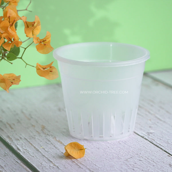 Plastic 5" Clear Round Orchid Pot with Dome - Buy Orchids Plants Online by Orchid-Tree.com