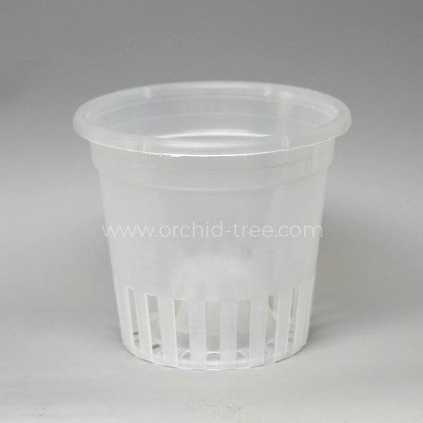 Plastic 5" Clear Round Orchid Pot with Dome - Buy Orchids Plants Online by Orchid-Tree.com