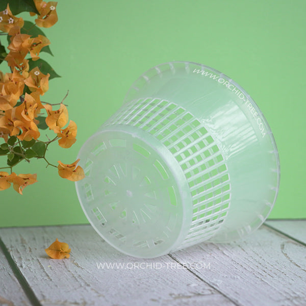 Plastic 8" Clear Big Orchid Pot - Buy Orchids Plants Online by Orchid-Tree.com